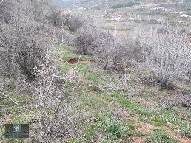 CBDEN YEŞİLYÖREDE (1.597m2) TEK TAPU TARLA - Görsel 7