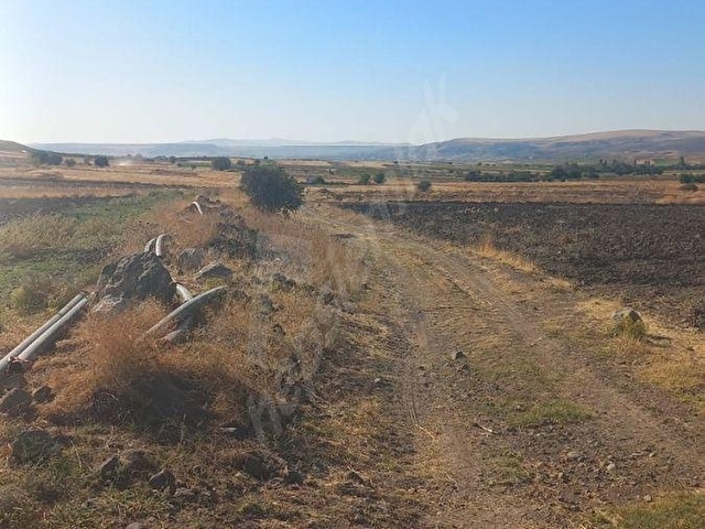 MAHZEMİN 2000 m² TEK TAPU SATILIK TARLA | YOLA YAKIN | KAPALI SULAMA SİSTEMİ YANI | YATIRIMLIK FIRSA - Görsel 5