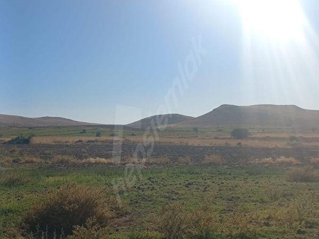 MAHZEMİN 2000 m² TEK TAPU SATILIK TARLA | YOLA YAKIN | KAPALI SULAMA SİSTEMİ YANI | YATIRIMLIK FIRSA - Görsel 3