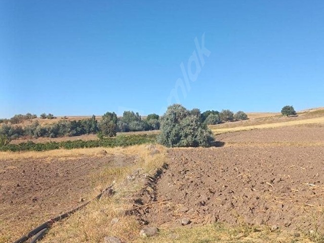 MAHZEMİN 2000 m² TEK TAPU SATILIK TARLA | YOLA YAKIN | KAPALI SULAMA SİSTEMİ YANI | YATIRIMLIK FIRSA - Görsel 20