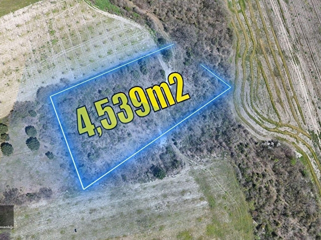 BURSA YENİŞEHİR SUBAŞI KÖYÜNDE SATILIK 4539 M2 YATIRIMLIK FIRSAT TARLA - Görsel 4