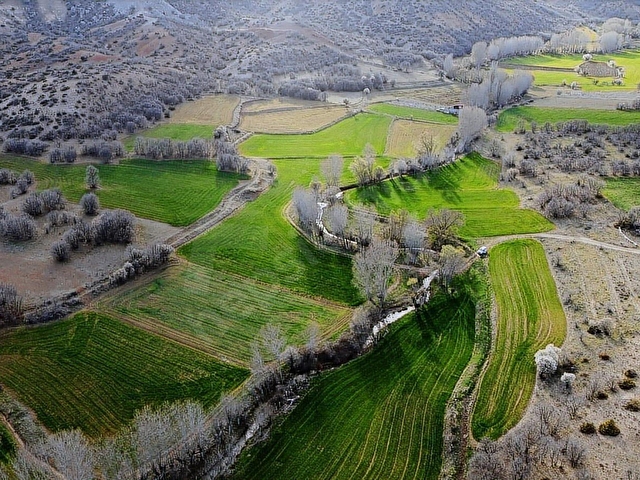 GÜNEYDEREDE 1362 m2 MÜSTAKİL TAPULU BAHÇE - Görsel 7