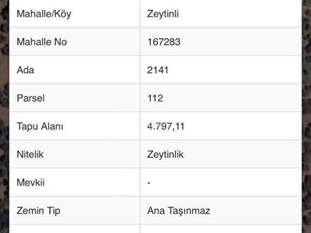 MADEN EMLAKTAN EDREMİT ZEYTİNLİ DE BAĞEVİ OLAN İMAR SINIRINDA - Görsel 22