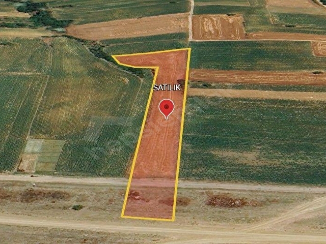 GÜLSULTAN EMLAK  TAN TEKİRDAĞ S.PAŞA KARACAKILAVUZ MAH. SATILIK RESMİ YOLA CEPHE 6.400 M2 TARLA - Görsel 3