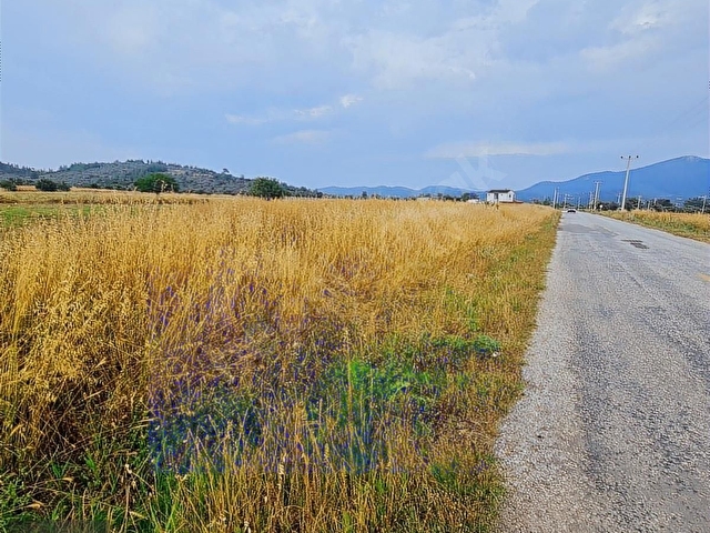 Kuzyakada Asfalt Cepheli, 2.272m², İmarlı Arsa - Görsel 7