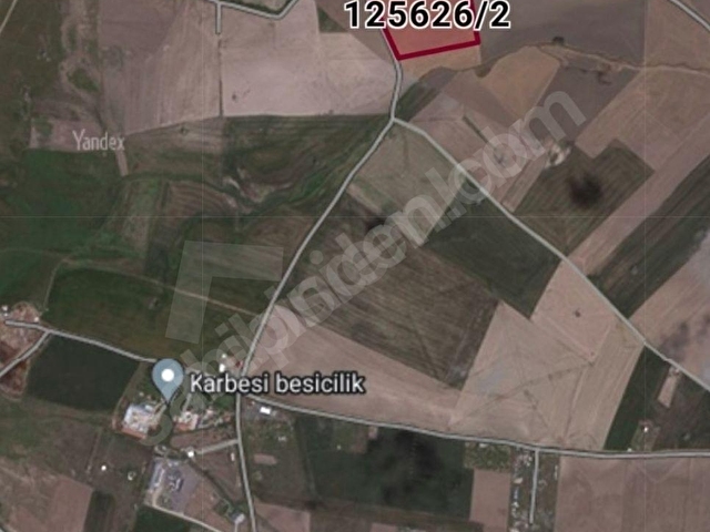 SATILIK GÖLBAŞI OĞULBEY MAHALLESİNDE 28236 M2 İYİ KONUMDA TARLA - Görsel 2