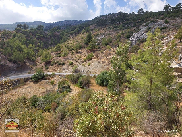 YOLA CEPELİ SATILIK ARAZİ - Görsel 4