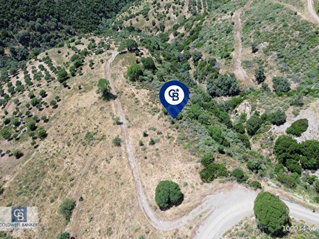 Karaburun Sarpıncıkta 9.125 m² Satılık Tarla - Görsel 17