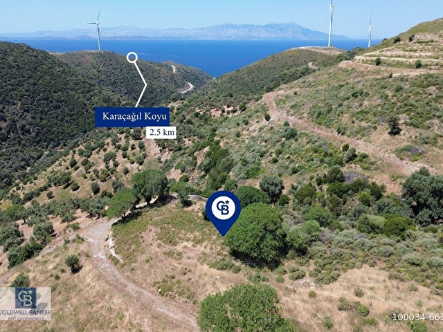 Karaburun Sarpıncıkta 9.125 m² Satılık Tarla - Görsel 2