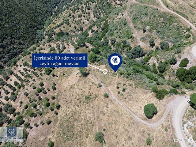Karaburun Sarpıncıkta 9.125 m² Satılık Tarla - Görsel 4