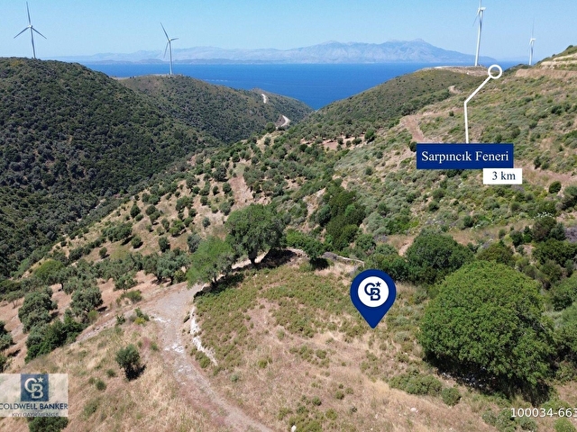 Karaburun Sarpıncıkta 9.125 m² Satılık Tarla - Görsel 6