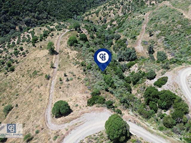 Karaburun Sarpıncıkta 9.125 m² Satılık Tarla - Görsel 5