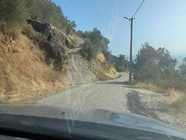 Arıklıda Deniz Manzaralı Zeytinlik