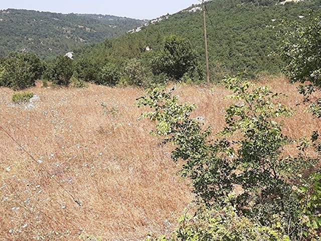 BALIKESİR BALYA SATILIK GÖL MANZARALI TARLA - Görsel 8
