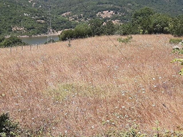 BALIKESİR BALYA SATILIK GÖL MANZARALI TARLA - Görsel 11