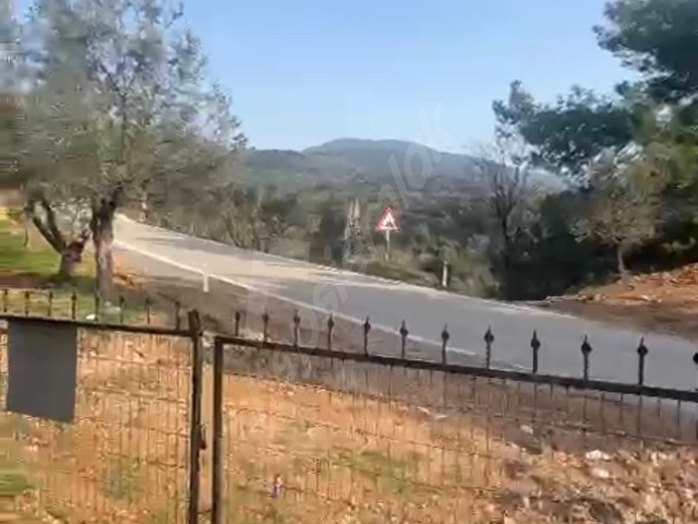 BU FIRSAT KAÇMAZ YAPI KAYIT BELGELİ MUHTEŞEM ZEYTİNLİK.