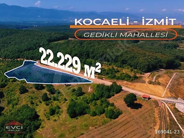 EVCİDEN KUZEY MARMARA DİBİ 22 DÖNÜM YOLU AÇILMIŞ MÜSTAKİL TAPU - Görsel 2