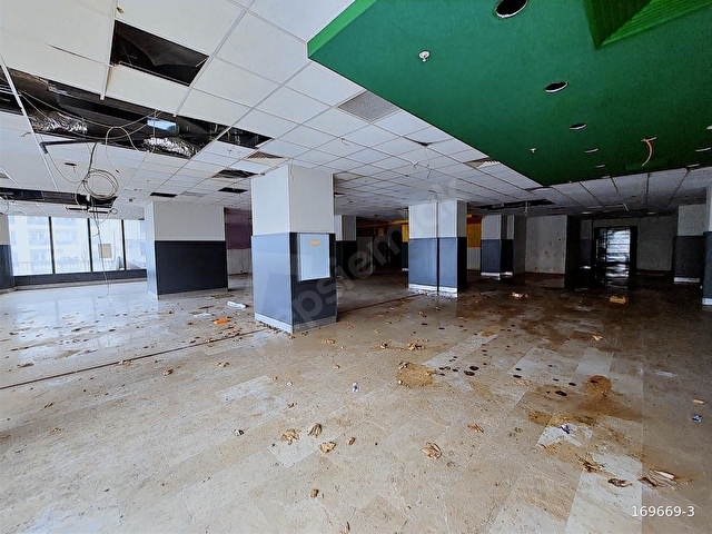 ESENYURTTA KİRALIK 2000 M2 DÜZ GİRİŞ TİCARİ ALAN - Görsel 8