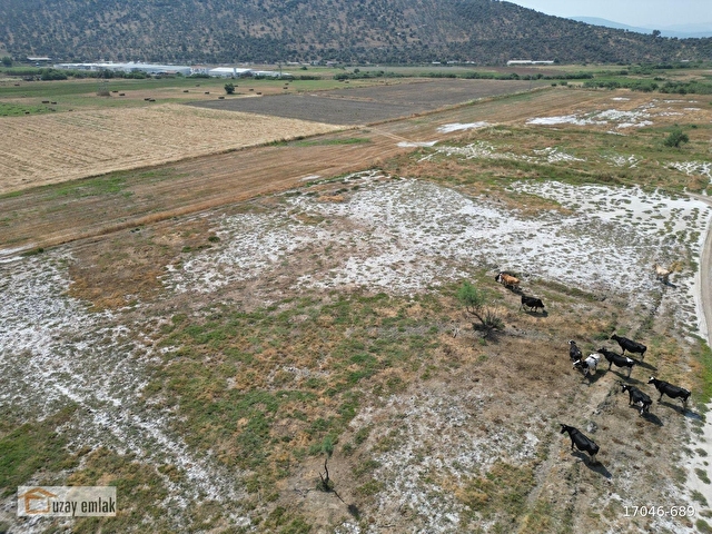 Milas Savran Mahallesinde Satılık 15.000 m² Tarla - Görsel 16