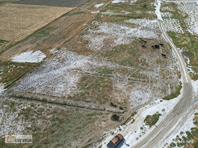 Milas Savran Mahallesinde Satılık 15.000 m² Tarla