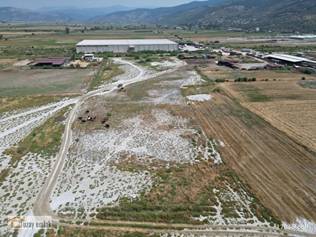 Milas Savran Mahallesinde Satılık 15.000 m² Tarla - Görsel 6