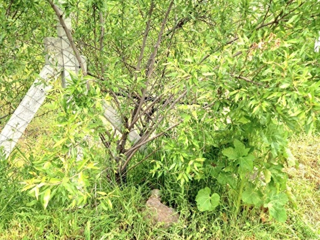 ÖZDEDEDEN SATILIK GÜNEYDERE BOTSA MH DE 983 M² MÜSTAKİL BAHÇE - Görsel 13