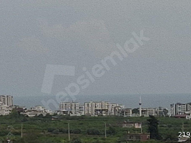 mersin mezitli tece satılık limon bahçesi ev - Görsel 4
