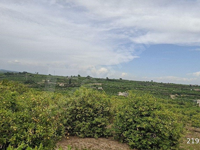 mersin mezitli tece satılık limon bahçesi ev - Görsel 9