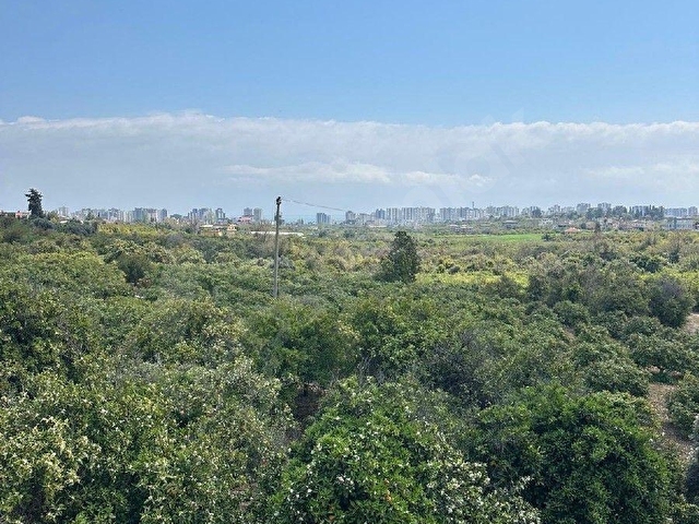 mersin mezitli tece satılık limon bahçesi ev - Görsel 25