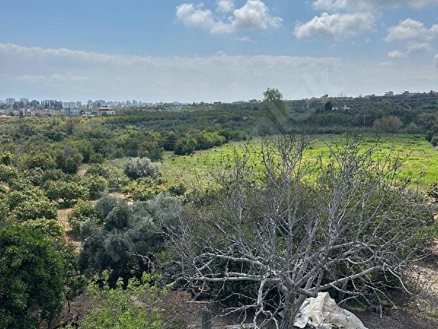 mersin mezitli tece satılık limon bahçesi ev - Görsel 26