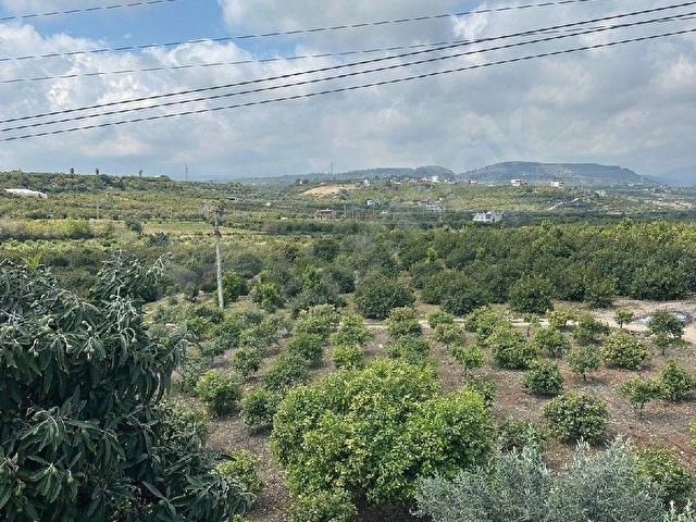 mersin mezitli tece satılık limon bahçesi ev - Görsel 27