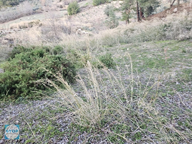Stop’tan Haftanın Fırsatı Yakaköyde Tek Tapu 1109 m2 Tarla - Görsel 6