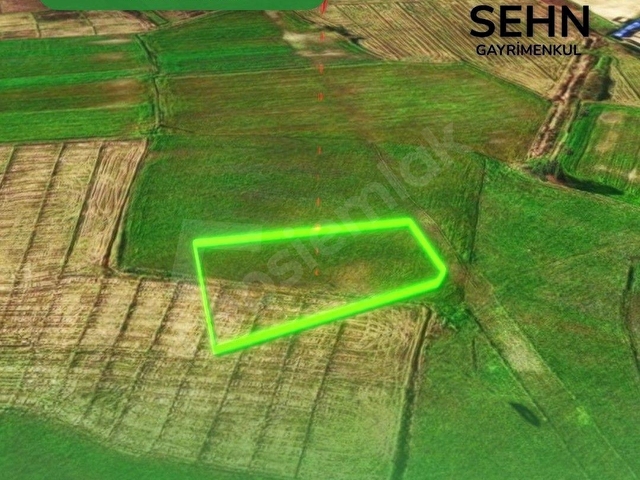 SEHN TA103 I TEKKEKÖY SANAYİ-LOJİSTİK MERKEZLERİNİN YANI BAŞINDA