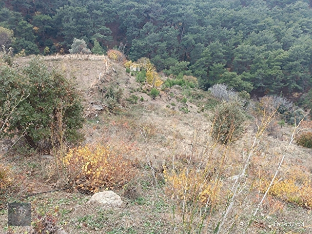 Kavacıkta Doğayla İç İçe, 3472 m² Geleceğe Kazandıran Yatırım - Görsel 10