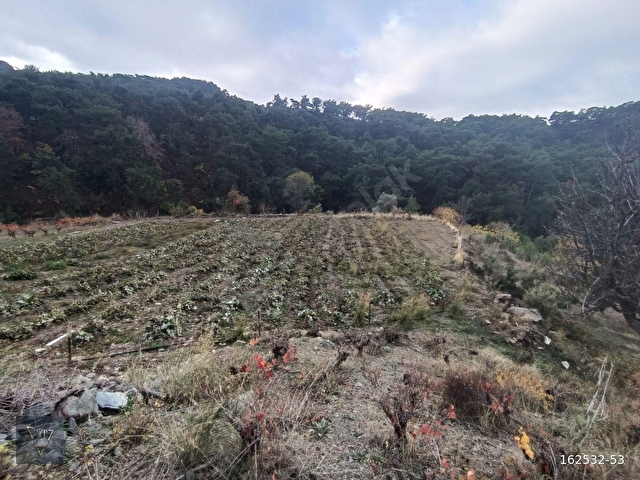 Kavacıkta Doğayla İç İçe, 3472 m² Geleceğe Kazandıran Yatırım - Görsel 13
