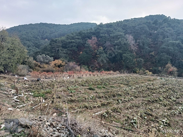 Kavacıkta Doğayla İç İçe, 3472 m² Geleceğe Kazandıran Yatırım