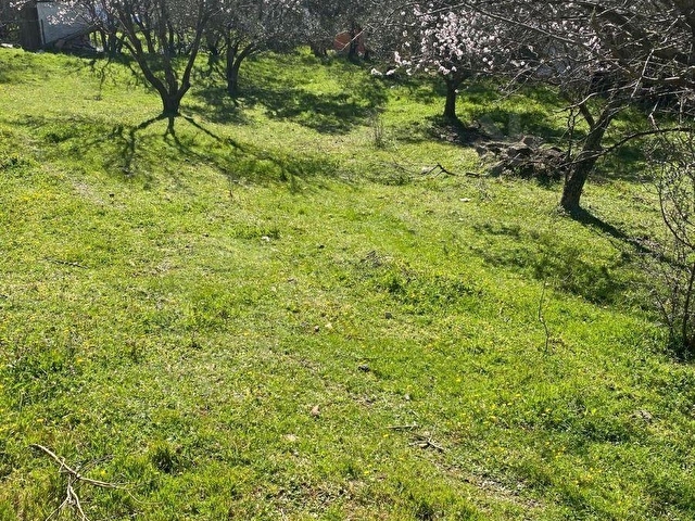 Çanakkale Kazdağları Akpınar da Eşsiz 548 m2 Arsa - Görsel 13
