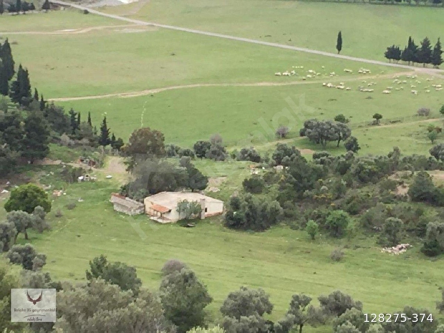 YATIRIMLIK MUHTEŞEM ARAZİ ELEKTRİK YOLU SUYU VE EVİ OLAN ARAZİ - Görsel 2