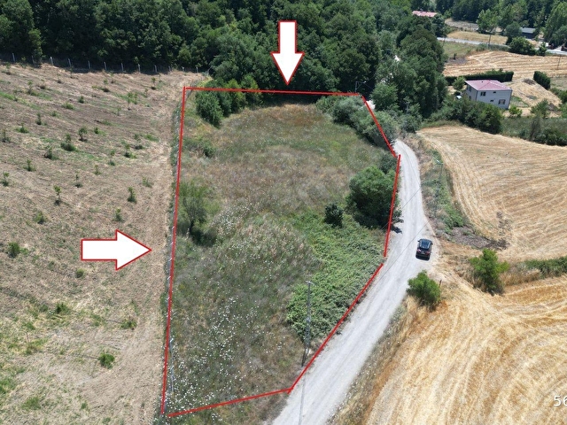 KOCAELİ KARAMÜRSEL YALAKDERE VALİDEKÖPRÜ SATILIK TARLA 3310 M2