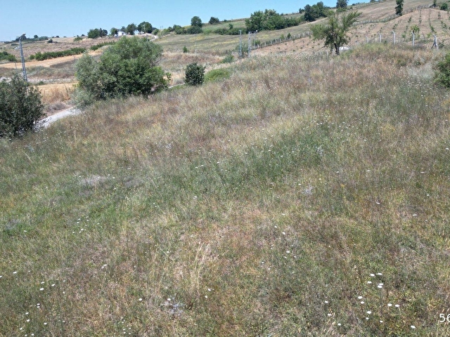 KOCAELİ KARAMÜRSEL YALAKDERE VALİDEKÖPRÜ SATILIK TARLA 3310 M2 - Görsel 4