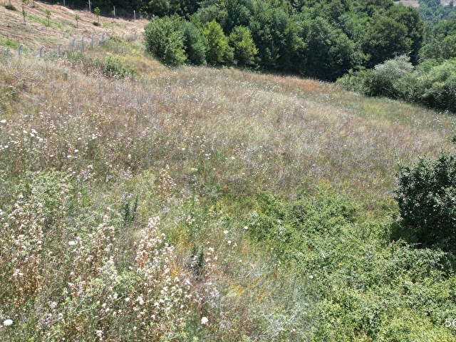 KOCAELİ KARAMÜRSEL YALAKDERE VALİDEKÖPRÜ SATILIK TARLA 3310 M2 - Görsel 3