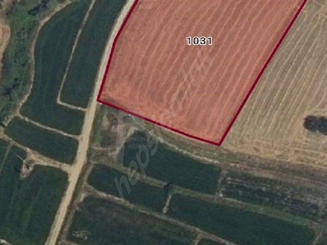 EDİRNE HAVSA ŞERBETTAR’DA YOLA CEPHELİ 7.900 M² SATILIK TARLA