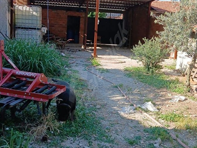 manisa kırkağaç bakır mah/köy de satılık müstakil bahçeli arsa - Görsel 4