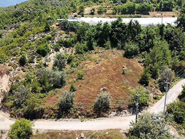 🌿 ALANYA TOSLAK YENİKÖY MAHALLESİ’NDE SATILIK 2.545 M2  ARAZİ - Görsel 9