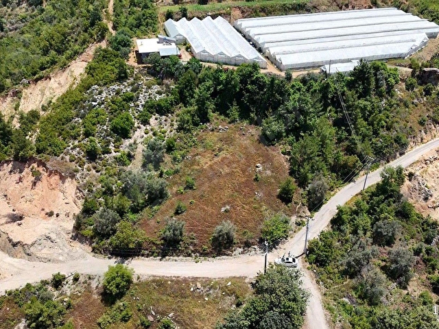 🌿 ALANYA TOSLAK YENİKÖY MAHALLESİ’NDE SATILIK 2.545 M2  ARAZİ - Görsel 18