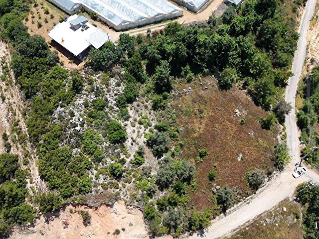 🌿 ALANYA TOSLAK YENİKÖY MAHALLESİ’NDE SATILIK 2.545 M2  ARAZİ - Görsel 20