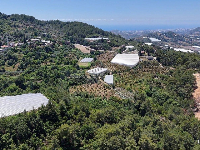 🌿 ALANYA TOSLAK YENİKÖY MAHALLESİ’NDE SATILIK 2.545 M2  ARAZİ - Görsel 3