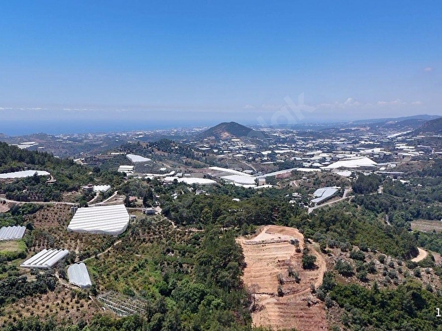 🌿 ALANYA TOSLAK YENİKÖY MAHALLESİ’NDE SATILIK 2.545 M2  ARAZİ - Görsel 5