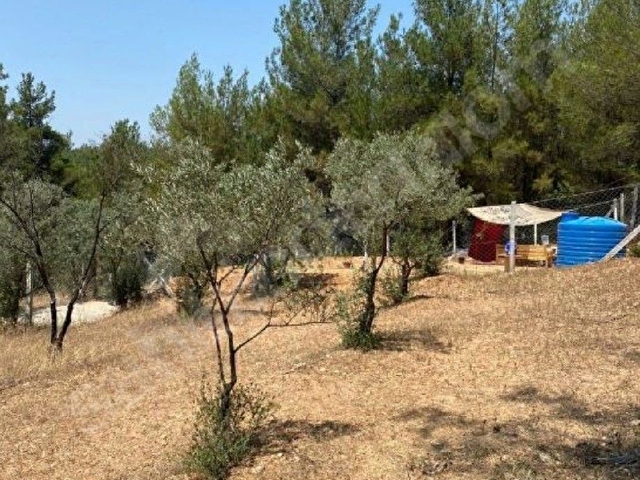 KISA SÜRELİĞİNE ‼️BELENBAŞINDA DOĞA İÇİNDE YATIRIMLIK HİSSELİ ARSA 250 m² - Görsel 9