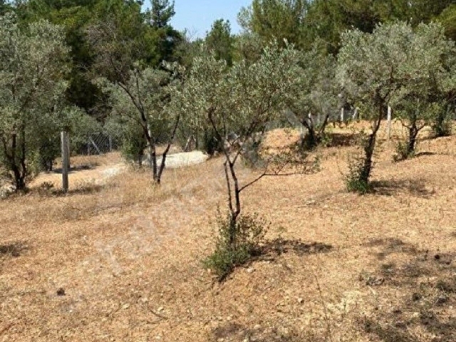 KISA SÜRELİĞİNE ‼️BELENBAŞINDA DOĞA İÇİNDE YATIRIMLIK HİSSELİ ARSA 250 m² - Görsel 13